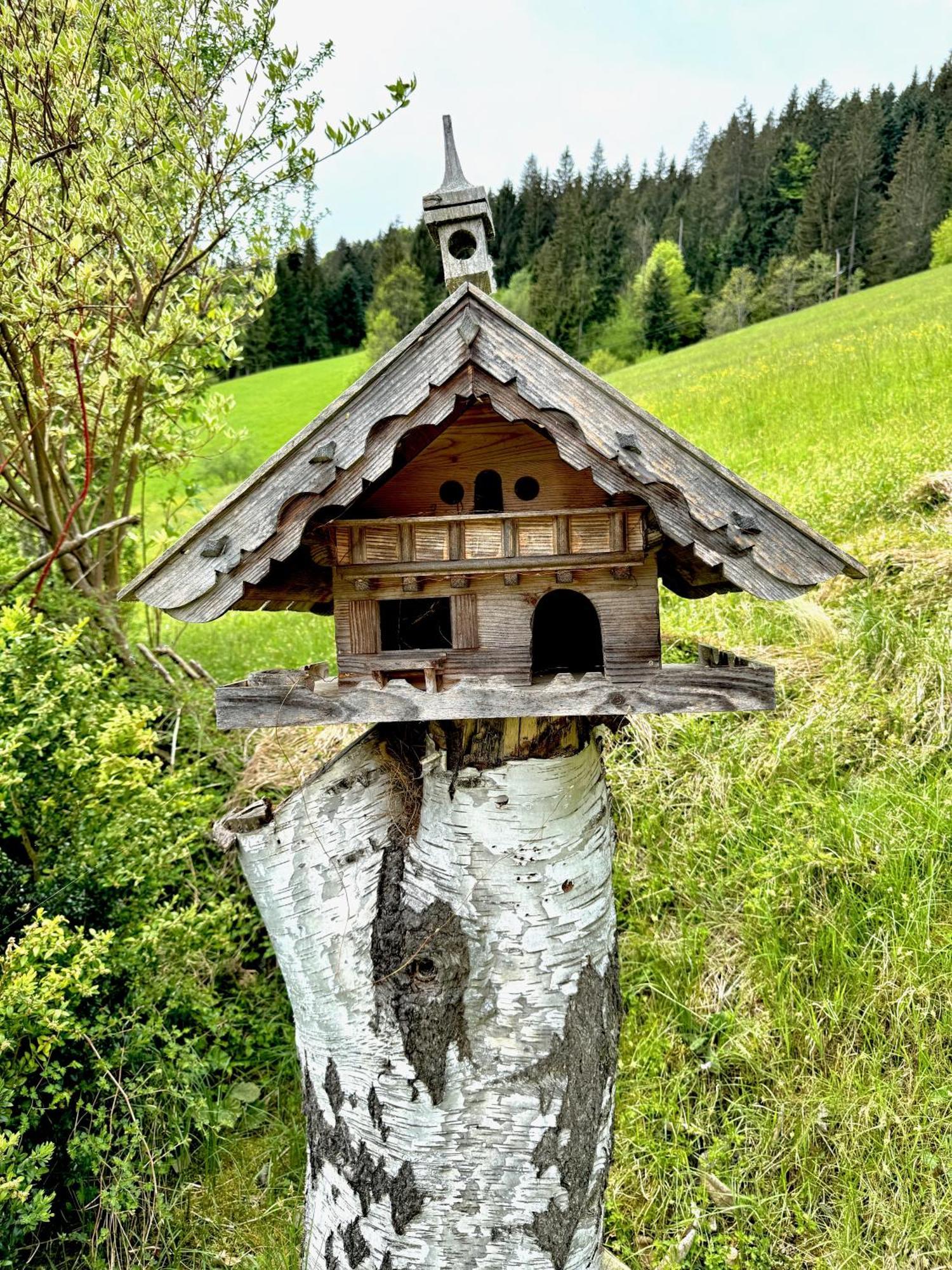 5* Panorama Chalet Mit Sauna By Belle Stay Going am Wilden Kaiser Bagian luar foto